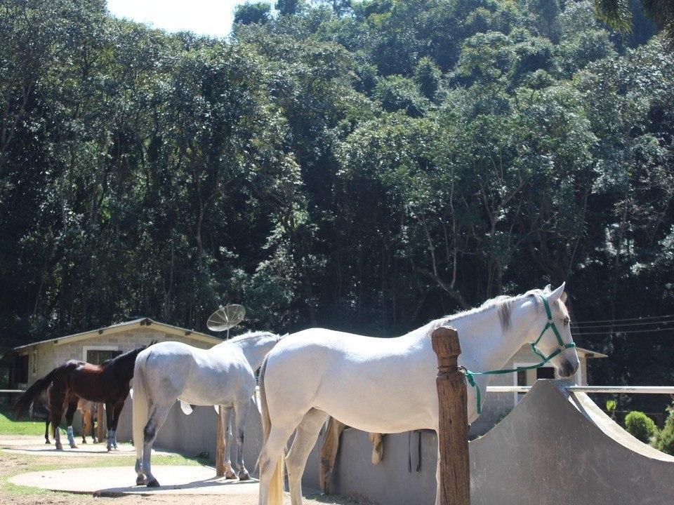 Hotel Fazenda Apm Caieiras Extérieur photo